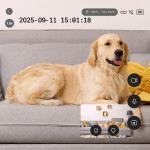 tesla-secureq-SC10-j