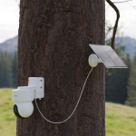 tesla-solar-panel-5w-j