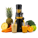 tesla-slowjuicer-sj500-xl-b